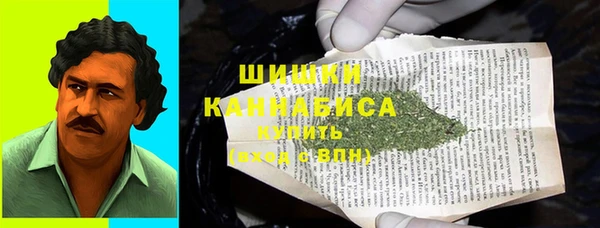 метадон Богданович