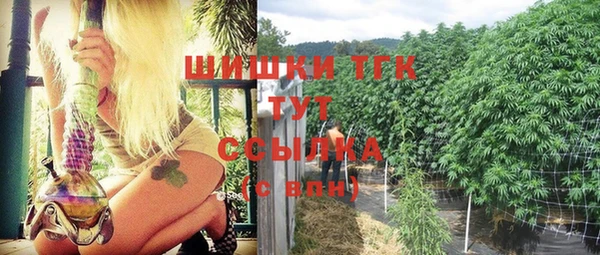 метадон Богданович