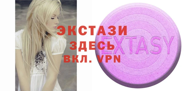 spice Богородицк