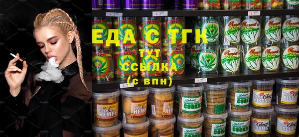 spice Богородицк