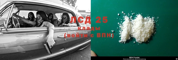 spice Богородицк