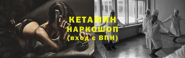 spice Богородицк