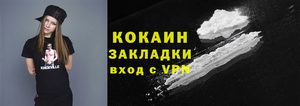 метадон Богданович