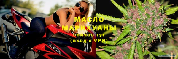 spice Богородицк