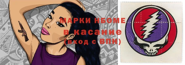 spice Богородицк