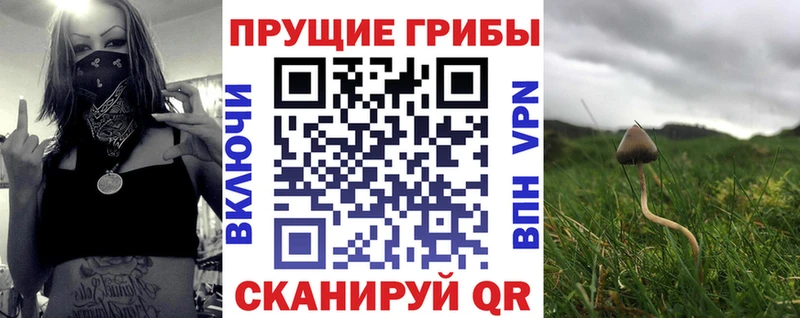 ОМГ ОМГ   Малоярославец  Псилоцибиновые грибы GOLDEN TEACHER 