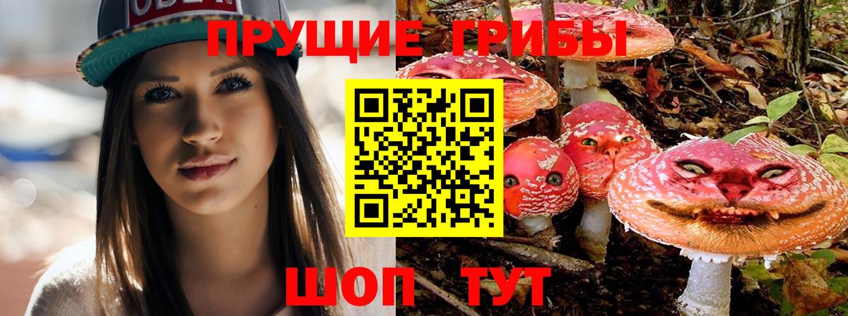 Галлюциногенные грибы Psilocybe  Вход с VPN  Малоярославец 